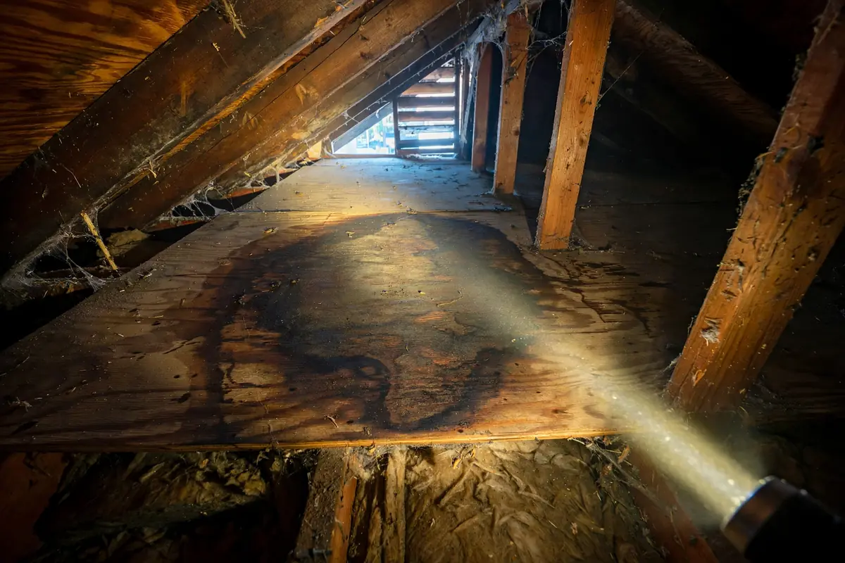 Attic Inspection: 7 Moisture Signs That Mean Roof Trouble — La Mirada, CA